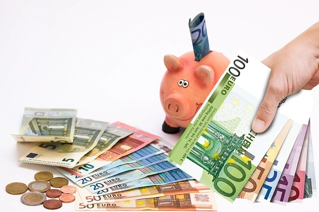 Comment rentabiliser au maximum 500 euros d’épargnes par mois ?